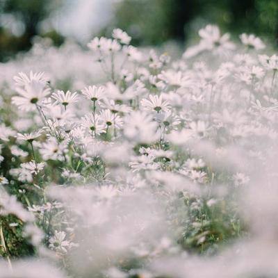 星空体育娱乐官网截图