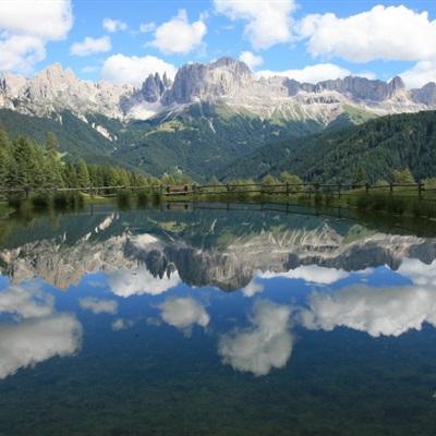 博鱼app下载(中国)官方网站